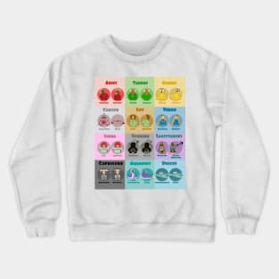 Zodiac Sweaters Crewneck Sweatshirt